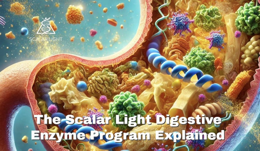 The Scalar Light Digestive Enzyme Program Explained